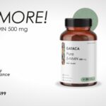 Shivaami Named A  Google Cloud Partner of the Year!